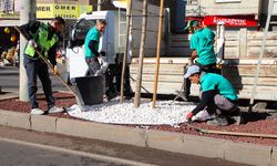 Diyarbakır'da su tasarruflu 'Peyzaj' sırrı: Bakın caddeler nasıl güzelleşti!