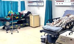 Diyarbakır’daki 2 büyük hastane buz gibi: Açıklama geldi!