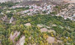 Diyarbakır’daki bu köyde hem portakal hem mandalina hem fındık yetişiyor!