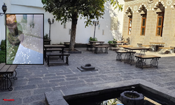 Diyarbakır’daki müzede turistlerin para atma geleneği dikkat çekti!