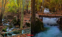 Diyarbakır'ın gizli cenneti: Sonbahar aylarında ayrı güzel!