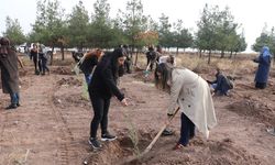 Diyarbakır’da kadınlar için Barış Ormanı’nda fidan dikildi