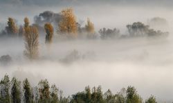 Hevsel Bahçeleri’nde görsel şölen: Fotoğrafçılar anı yakaladı!