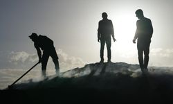 Diyarbakır'dan Kırıkkale'ye gittiler: Tonunu 28 bin TL’den satıyorlar!