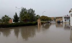 Mardin'de sağanak sonucu dere taştı: Evler hasar gördü
