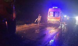 Adıyaman’da otomobil ile kamyon çarpıştı: Ağır yaralılar var