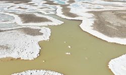 Türkiye’nin en büyük ikinci gölüydü: 90 yılda yüzde 85 küçüldü!