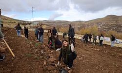 Van'da Rojin Kabaiş Ormanı kuruldu
