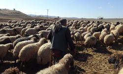 Yılın üç ayını yollarda geçiriyorlar: Koçerlerin yolculuğu başladı