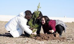 Diyarbakır’da 3 Aralık etkinliği: Öğrenciler Hevsel'de fidan ekti