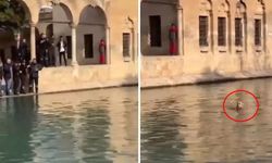 Şanlıurfa’da Balıklıgöl’e atladı: “Adalet arıyorum” dedi