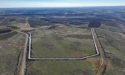 Diyarbakır’da sokak hayvanları için çalışma başladı!