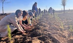 Bismil’de kadınlar anısına ağaçlar toprakla buluştu