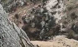 Elazığ’da avlanması yasaktı: Sürü halinde ortaya çıktı!