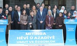 DEM Parti, Diyarbakır’da miting düzenleyecek