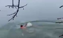 Dondurucu Diyarbakır soğuğunda Dicle Nehri'ne girdi!