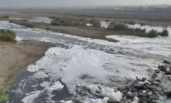 Diyarbakır Dicle Nehri’ndeki köpüğün nedeni belli oldu!