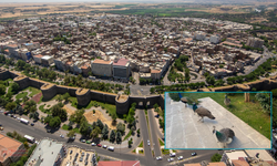 Diyarbakır kayıp tavus kuşunun peşinde: Sur’da aranıyor!