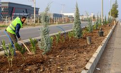 Diyarbakır’ın girişleri yenileniyor: Mardin yolu böyle olacak!