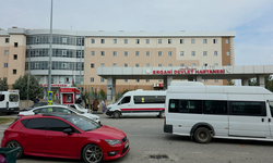 Diyarbakır’da damat faciası: Ölenlerin isimleri belli oldu!