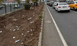 Diyarbakır’da bir vatandaştan temizlik çağrısı: “Bu kadarını yapamadım!”