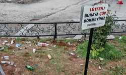 Diyarbakır’da tepki çeken görüntü: 5 uyarıya rağmen çöplüğe döndü!