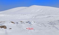 Diyarbakır’daki soğuğun nedeni belli oldu: Lapa lapa kar yağdı!