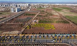 Diyarbakır’ın en büyük parkında çalışmalar başladı: İşte adresi