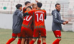 Efsane ayağa kalkıyor: Diyarbakırspor evinde kazandı