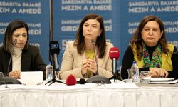 Diyarbakır Büyükşehir açıkladı: 17 bin kadına ücretsiz dağıtıldı!