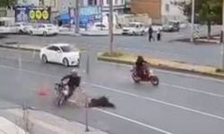 Diyarbakır’da motosiklet kazası: Yaralılar var!