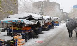 Diyarbakır kar yağışıyla dondu: O tarihte eksi 20 derece olacak!