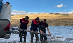 83 milyon balık deniz, göl ve göletlere bırakıldı