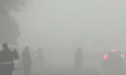 Diyarbakır'da yoğun sis, trafiği olumsuz etkiledi