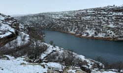 Diyarbakır’ın yeni ilgi odağı oldu: Bawkan Vadisi ve Şelaleleri nerede?