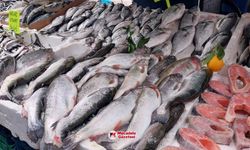 Soğuk hava balığı vurdu! Diyarbakır’da fiyatlar ikiye katlandı