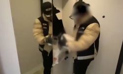 Diyarbakır da listede: 180 Milyon TL değerinde kaçak ilaç ele geçirildi