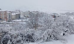 Kritik uyarı: Diyarbakır’ın o bölgesine kuvvetli kar geliyor!