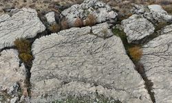 Diyarbakır’da 20 bin yıllık su tabakası keşfedildi