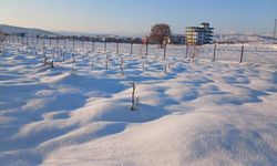 Diyarbakır’daki kar çiftçiyi nasıl etkiledi?