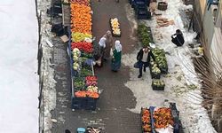 Diyarbakır’ın ilçesinde bir aydır süren kar yağışı: Semt pazarları açıldı