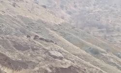 Diyarbakır’da “nüfusları hızla artıyor” diyerek isyan etti: Çağrıda bulundu