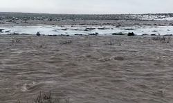 Karacadağ’da beyaz örtü çözülüyor: Bereket sel olup akıyor!