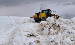 Diyarbakır’a çığ uyarısı yapıldı: İşte o ilçeler