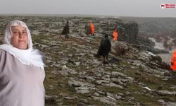 Diyarbakır’da kayıp Nimet Kılıç'ın ailesi konuştu!