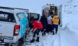 Diyarbakır’da ihbarlar arttı: Ekipler seferber oldu