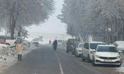 Görüş mesafesini düşürmüştü: Diyarbakır’da perde aralandı!