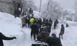 Çığ düştü, 22 ev boşaltıldı: Ölü var!