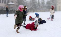Eğitime kar molası: Van ve Ağrı’da okullar tatil edildi