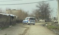 Diyarbakır’da bir kadın evinde ölü bulundu: Detayları ortaya çıktı!